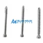 Cancellous Screws