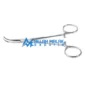 Mosquito forceps curved